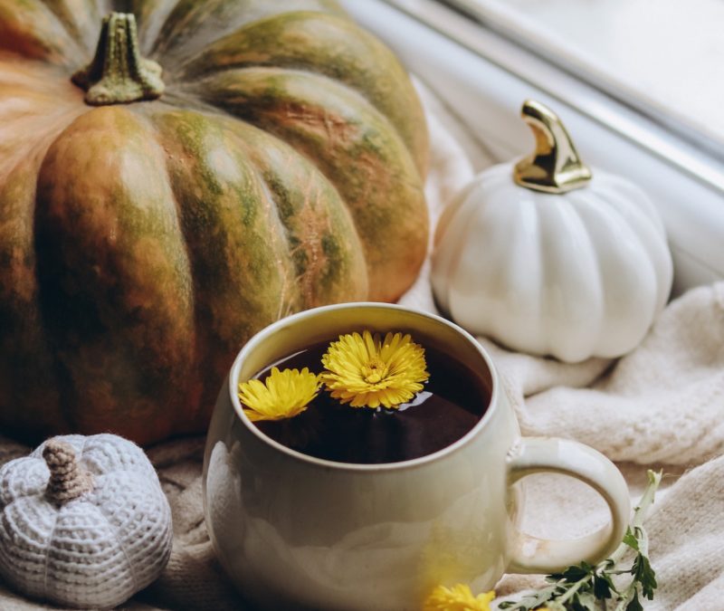 2-Tips for a Healthy Thanksgiving